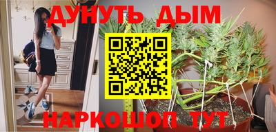 шишки Абинск